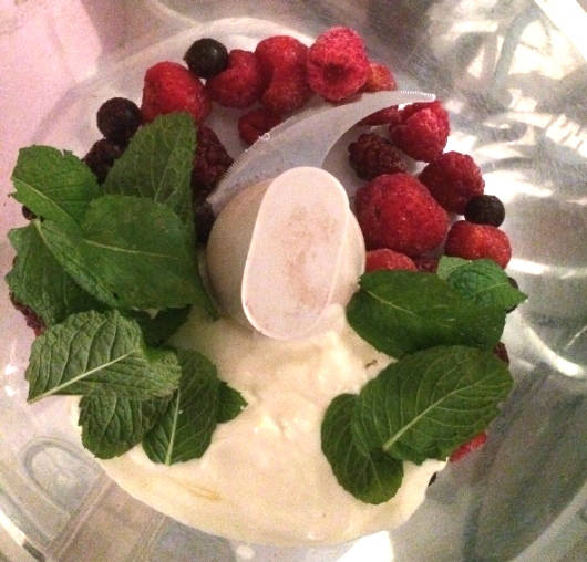 Yasmin’s Frozen Yoghurt | TheSugarBreakup.com