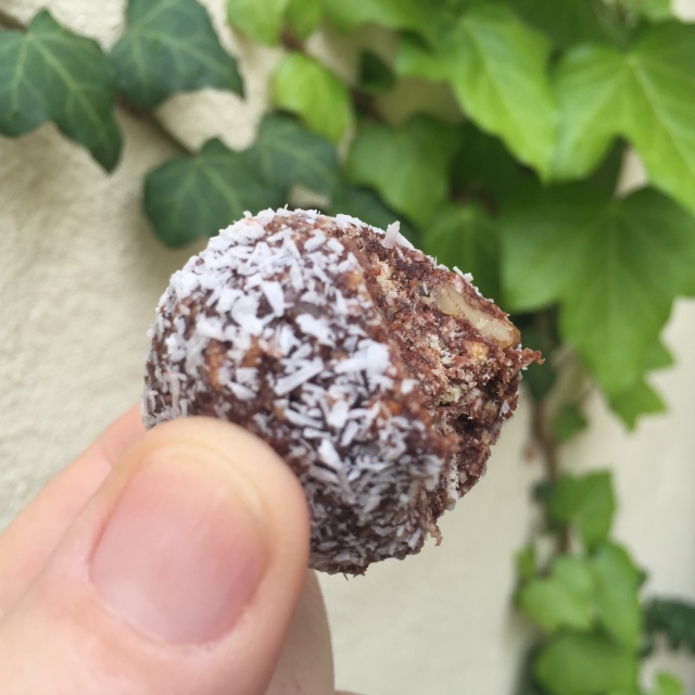 Coconut chocolate walnut balls